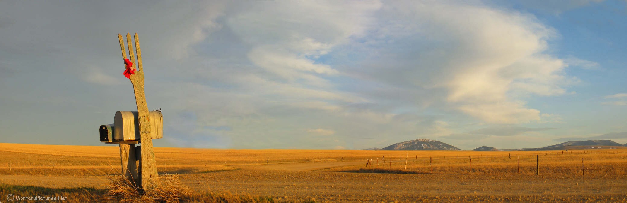 A wooded "Fork in the Road" out side Stockett, Montana