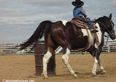 Picture of a little cowboy at the Kids Rodeo in Alzada, Montana.