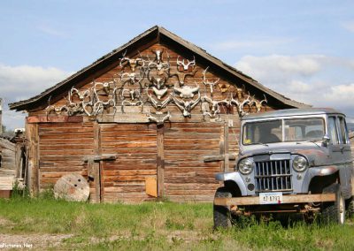 Picture of a favorite Jeep with antlers in the background in White Sulphur Springs, MT