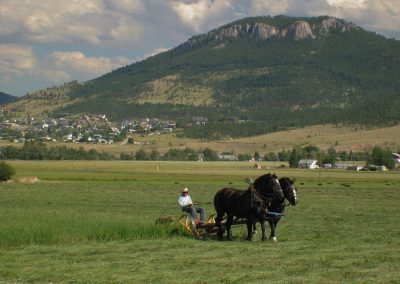 Picture of a horse drawn hay mower in Helena, Montana.