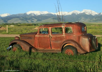 Picture of antique car with tree growing through the roof near Harrison, MT