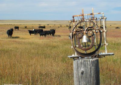 Picture of Cory Holmes metal sculpture and cattle near Hobson, Montana.