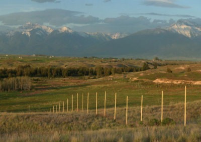 Panorama of the National Bison Range and Missions Mountains in June.