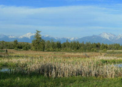 Panorama of a wetland in the National Bison Range near St. Ignatius, Montana. Image is from the Montana National Bison Range Picture Tour