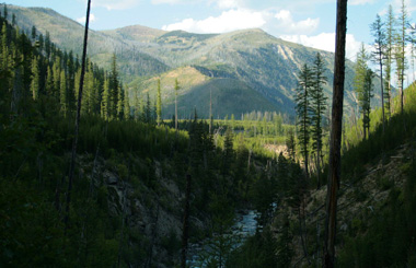 Picture of the Southern Trailhead to the Bob Marshall Wilderness. Image is from the Bob Marshall Wilderness Picture Tour.