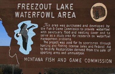 Picture of the Freezeout Lake Waterfowl Management Area sign on Highway 89. Image is from the Freezeout Lake Picture Tour.