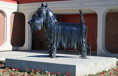 June picture of the Glasgow High School mascot, the Scottie in Glasgow, Montana. Image is from the Glasgow, Montana Picture Tour.