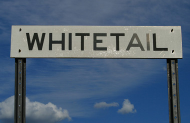 June picture of the Whitetail, Montana Rail Road sign in NE Montana. Image is from the Whitetail, Montana Picture Tour.