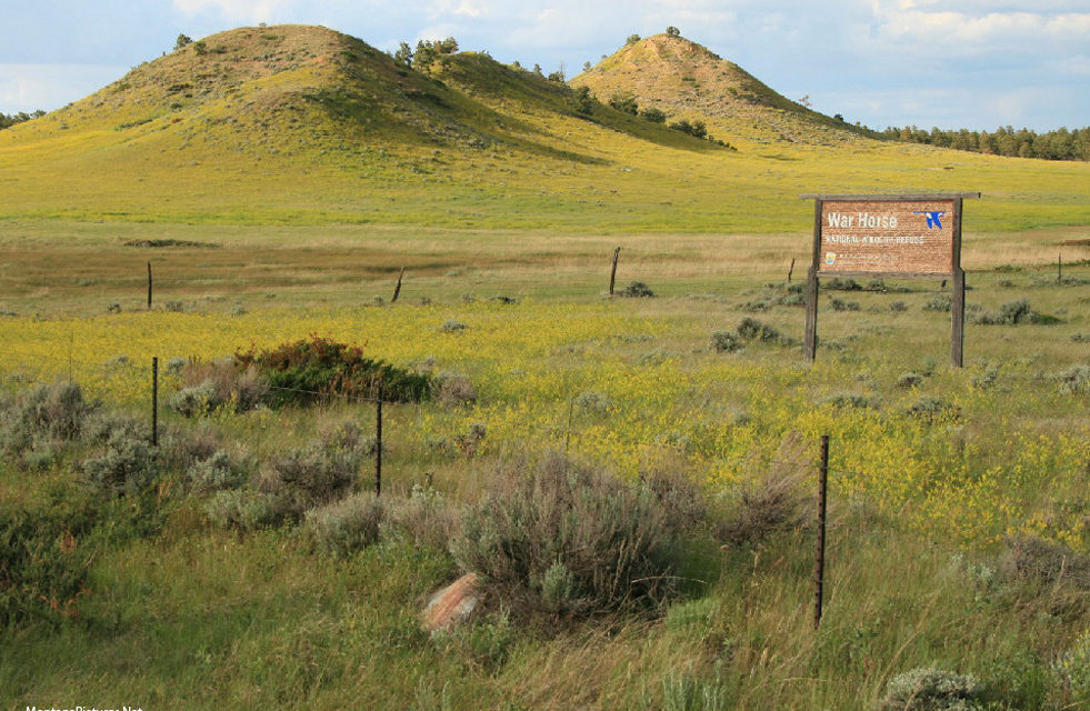 War Horse National Wildlife Refuge – MontanaPictures.Net
