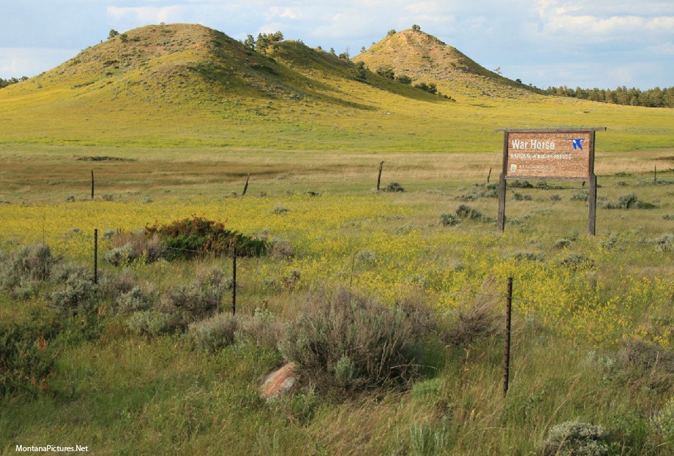 June picture of the War Horse National Wildlife Refuge Sign in 2019. Image is from the War Horse National Wildlife Refuge Picture Tour.