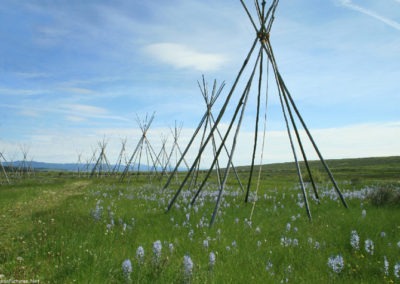 June picture of a Teepee Tent at the Big Hole National Battlefield. Image is from the Big Hole National Battlefield Picture Tour