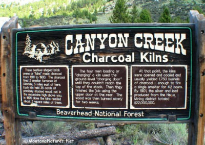 July picture of the Canyon Creek Charcoal Kilns in the Pioneer Mountains. Image is from the Divide, Montana Picture Tour.