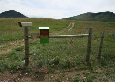 June picture of the Trailhead to East Butte in the Sweet Grass Hills. Image is from the Sweet Grass Hills Montana Picture Tour.