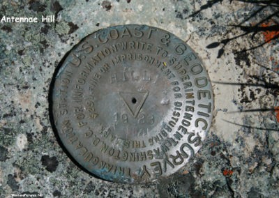 June picture of the US Geographic Survey Marker on the summit of Antennae Hill in the Sweet Grass Hills. Image is from the Sweet Grass Hills Montana Picture Tour.