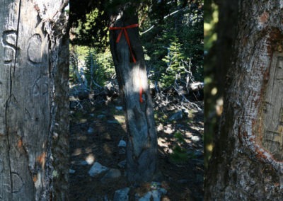 June picture of graffiti found on the summit of East Butte in the Sweet Grass Hills. Image is from the Sweet Grass Hills Montana Picture Tour.