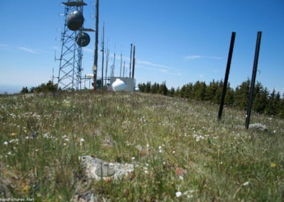 June picture of Antennae Hill in the Sweet Grass Hills. Image is from the Sweet Grass Hills Montana Picture Tour.