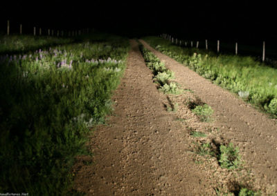 Night time picture of the road to East Butte in the Sweet Grass Hills. Image is from the Sweet Grass Hills Montana Picture Tour.
