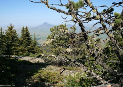 June picture of Gold Butte from peak of East Butte. Image is from the Sweet Grass Hills Montana Picture Tour.
