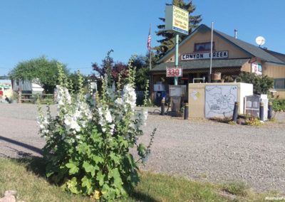 July picture of the Canyon Creek Store and Hollyhock flowers on Highway 279 between Lincoln and Helena. Image is from the Lincoln Montana Picture Tour.