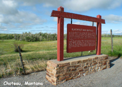 Picture of the Blackfeet and Buffalo Historical Sign on Highway 89 near Choteau Montana. Image is from the Heart Butte, Montana Picture Tour.