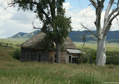 July picture of an old homestead near Danvers, Montana. Image is from the Danvers Montana Picture Tour.