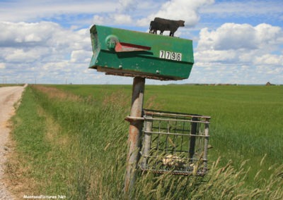 July picture of a unique mailbox on the Danvers Road near Kolin Montana. Image is from the Kolin Montana Picture Tour.