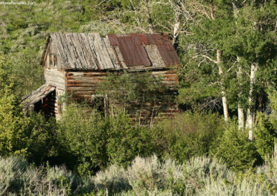 June picture of a log cabin hidden by trees in Castle Town Montana. Image is from the Castle Town Montana Picture Tour.