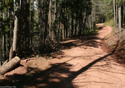 June picture of Forest Service Road 211 in the Castle Mountains. Image is from the Castle Town Montana Picture Tour.