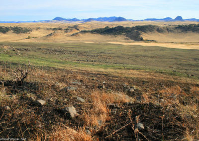 Close up picture of the area burnt in the 2007 Square Butte Grass Fire. Image is from the Crown Butte Preserve & Simms Montana Picture Tour.