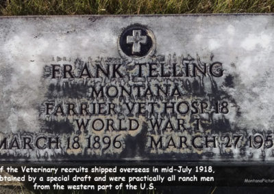 November picture of a WWI Veterinary Recruit headstone in the Whitehall Montana Cemetery. Image is from the Whitehall Montana Picture Tour.