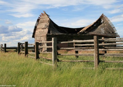 June picture of the old barn near the Denton turn off on Montana Highway 80. Image is from the Geraldine and Square Butte Montana Picture Tour.