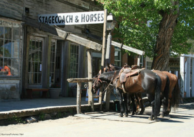 August picture of horses tied to a wooden rail in Virginia City, Montana. Image is from the Virginia City, Montana Picture Tour.