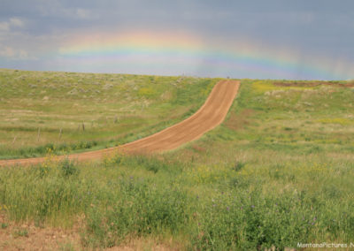 June picture of Rainbow outside the War Horse National Wildlife Refuge in 2019. Image is from the War Horse National Wildlife Refuge Picture Tour.