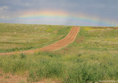 June picture of Rainbow outside the War Horse National Wildlife Refuge in 2019. Image is from the War Horse National Wildlife Refuge Picture Tour.