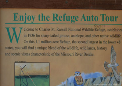 June picture of CMR Refuge Auto Tour Sign west of the Crooked Creek Campground. Image is from the Fort Peck Lake Montana Picture Tour.