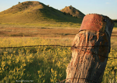 June picture of an ancient No Trespassing Sign in the War Horse National Wildlife Refuge. Image is from the War Horse National Wildlife Refuge Picture Tour.