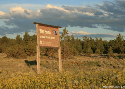 June picture of the Welcome Sign in the War Horse National Wildlife Refuge in Central Montana. Image is from the War Horse National Wildlife Refuge Picture Tour.