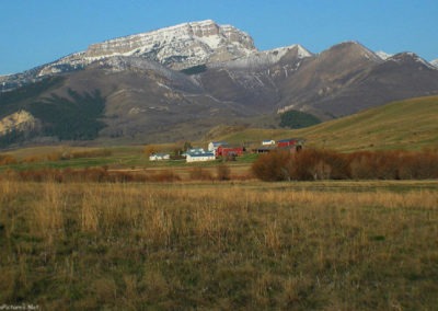 April picture of a Cattle Ranch near the Stearns Road. Image is from the Augusta Montana Picture Tour.