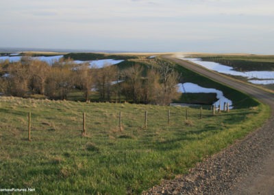 May picture of the gravel road from Sunburst to West Butte in the Sweet Grass Hills. Image is from the Sunburst Montana Picture Tour.