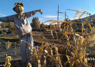 October picture of Garden Scarecrow below Mount Helena. Image is from the Helena Montana Winter Picture Tour.
