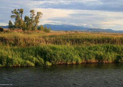 August picture of the Musselshell River and the Crazy Mountains at the Selkirk Fishing Access. Image is from the Two Dot Montana Picture Tour.