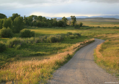 August picture of the gravel road at the Selkirk Fishing Access. Image is from the Two Dot Montana Picture Tour.