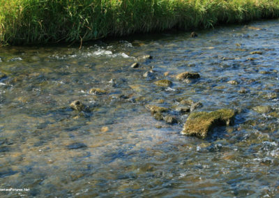 September picture of the Musselshell River at the Selkirk Fishing Access. Image is from the Two Dot Montana Picture Tour.
