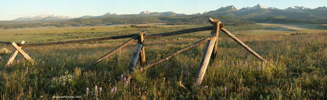 June morning panorama of the Pintler Mountains and Camas Flowers. Image is from the Mount Haggin WMA Montana Picture Tour.