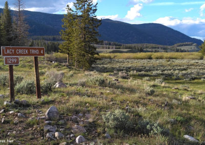 June picture of the Lacy Creek road sign north of Coolidge Montana. Image is from the Coolidge Montana Picture Tour.