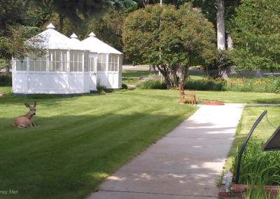 July picture of Washoe Park garden gazebos. Image is from the Anaconda Montana Picture Tour.