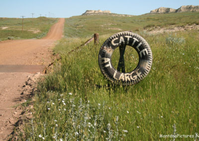 June picture of a Open Range sign south of Terry Montana. Image is from the Tongue River Picture Tour.