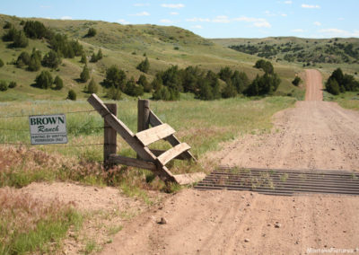 June picture of a Cattle Guard near the Tongue River. Image is from the Tongue River Picture Tour.