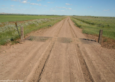 June picture of the dirt road that parallels the Tongue River. Image is from the Tongue River Picture Tour.