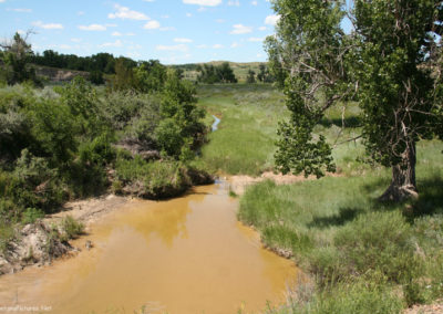 June picture of Ten Mile Creek, a tributary of the Powder River. Image is from the Powder River and Tongue River, Montana Picture Tour.